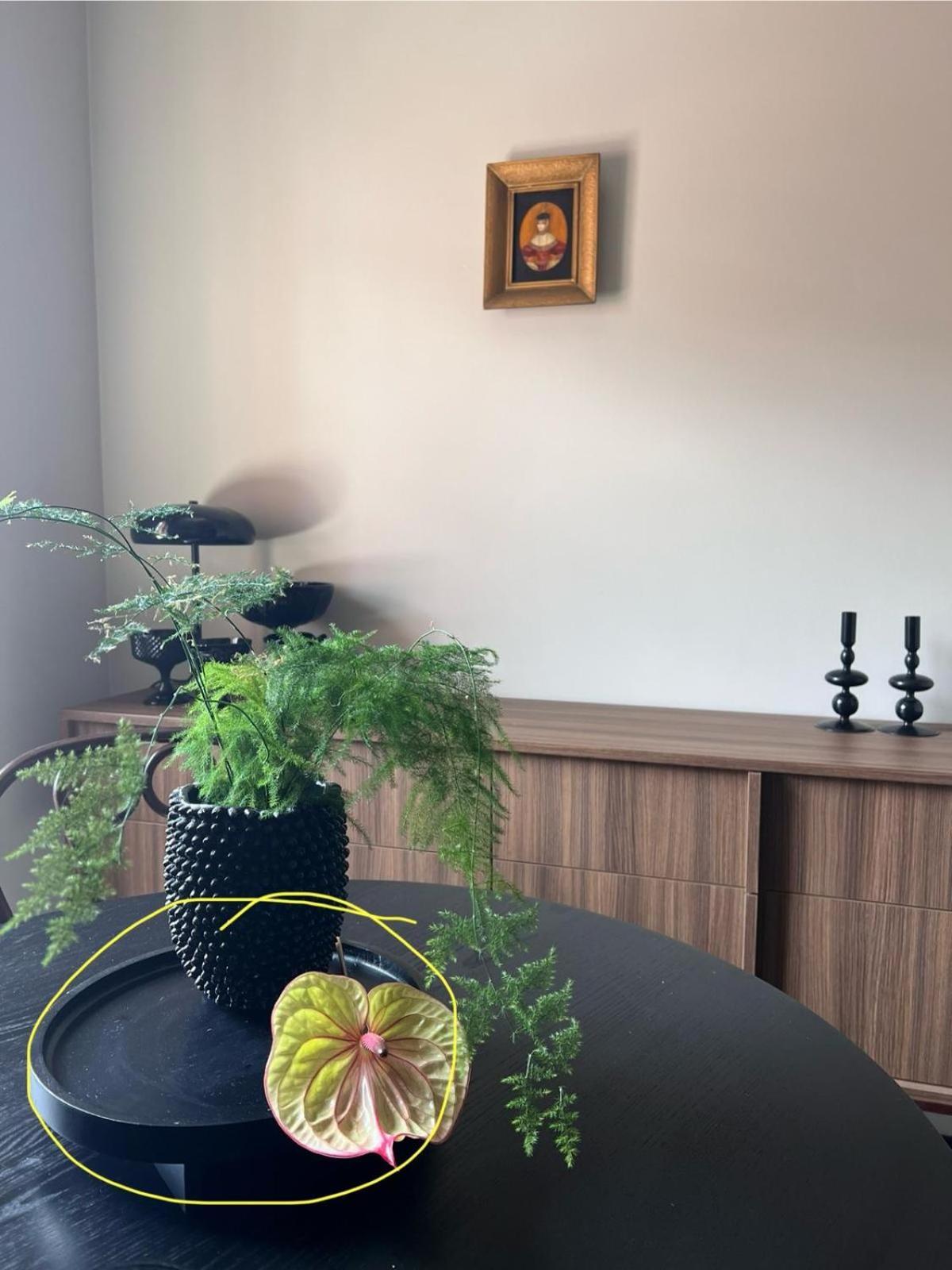 Entu Apartamenty Odrzanska Breslavia Exterior foto